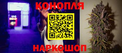 PSILOCYBIN Балашиха