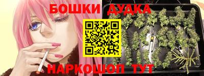 PSILOCYBIN Балашиха