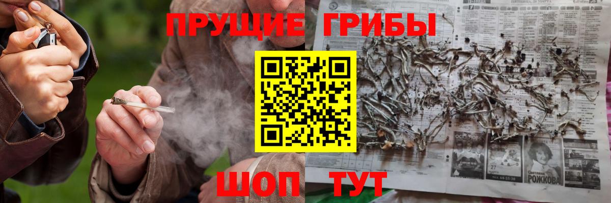 Вятские Поляны  Псилоцибиновые грибы Cubensis  Галлюциногенные грибы прущие грибы  Вход с VPN 